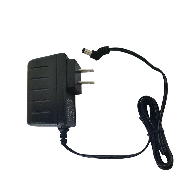 Dual power adapter